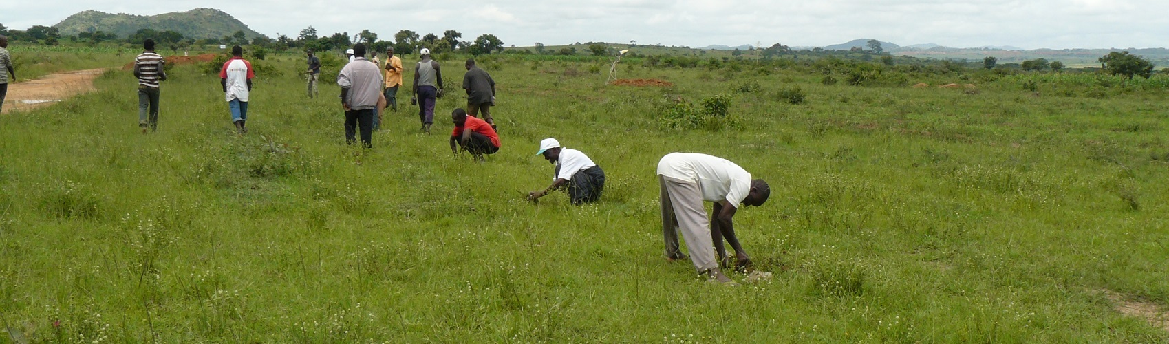 Images/Images/Tree_Planting_1.JPG