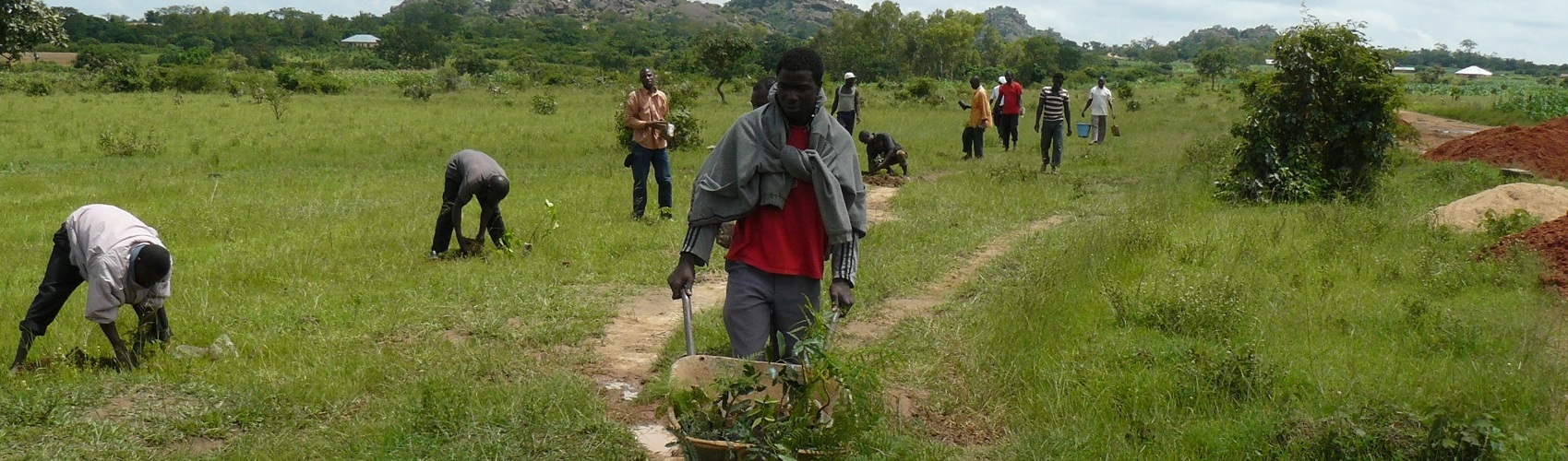 Images/Images/Tree_Planting_2.JPG